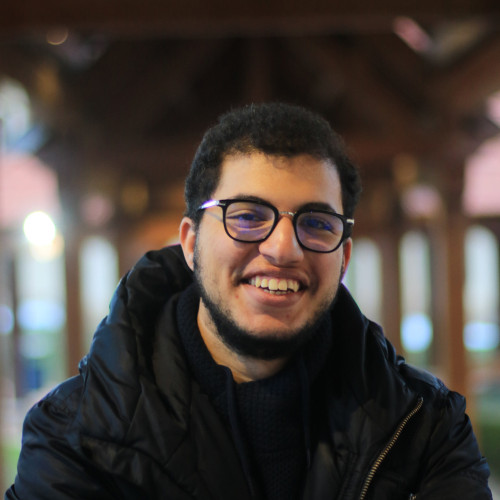 Mehdi Hyani